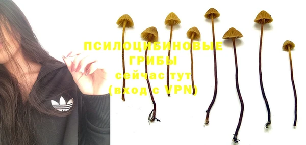 ПСИЛОЦИБИНОВЫЕ ГРИБЫ Балабаново