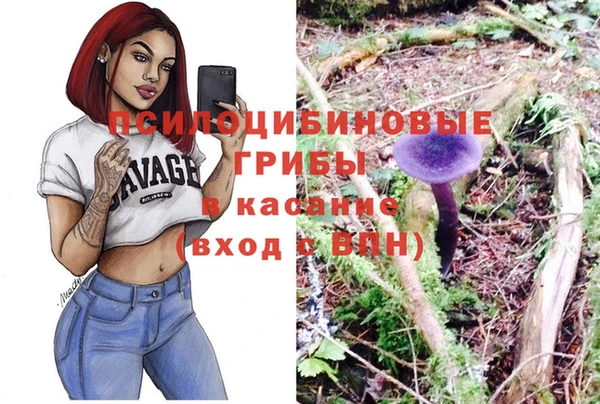 дживик Армянск