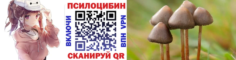 Галлюциногенные грибы Magic Shrooms  Новая Ляля 